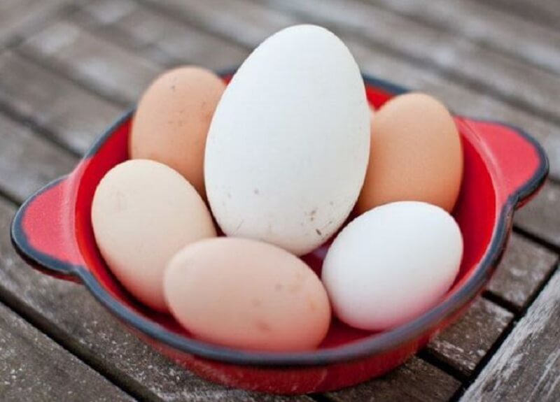 ăn trứng ngỗng có tác dụng gì